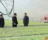 刘宁到内黄县安阳县调研推动工作时强调 毫不放松抓好粮食生产 全力夯实夏粮丰收基础 ...