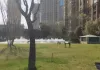 香榭里畔山兰溪,香榭里兰沁苑