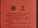 郑州市诚和禽业有限公司招聘精英！