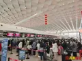 春运前20天 郑州机场保障177万名旅客出行