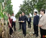 刘宁到开封市部分县区调研检查秋粮生产、项目建设等工作
