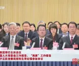 河南代表团举行全体会议审议全国人大常委会工作报告、“两高”工作报告 张军刘宁王凯 ...