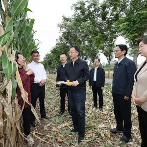 刘宁到开封市部分县区调研检查秋粮生产、项目建设等工作