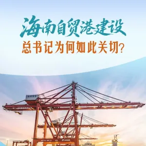 一见·海南自贸港建设，总书记为何如此关切？