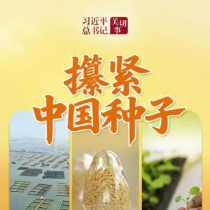 习近平总书记关切事丨攥紧中国种子
