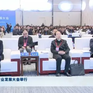 河南省健康产业发展大会举行 王凯出席