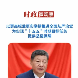 时政微观察丨推进全面从严治党，总书记提出新要求