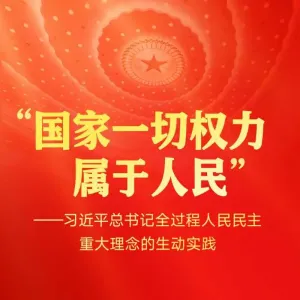 习近平总书记全过程人民民主重大理念的生动实践