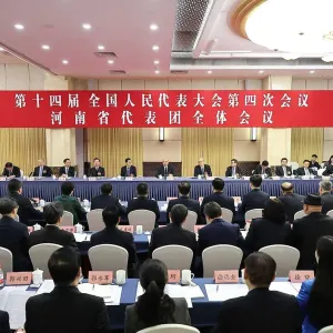河南代表团举行全体会议审议政府工作报告 刘国中张军刘宁王凯楼阳生李纪恒等参加审议 ...