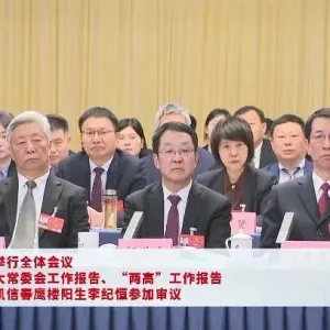 河南代表团举行全体会议审议全国人大常委会工作报告、“两高”工作报告 张军刘宁王凯 ...