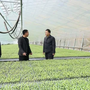 刘宁到内黄县安阳县调研推动工作时强调 毫不放松抓好粮食生产 全力夯实夏粮丰收基础 ...